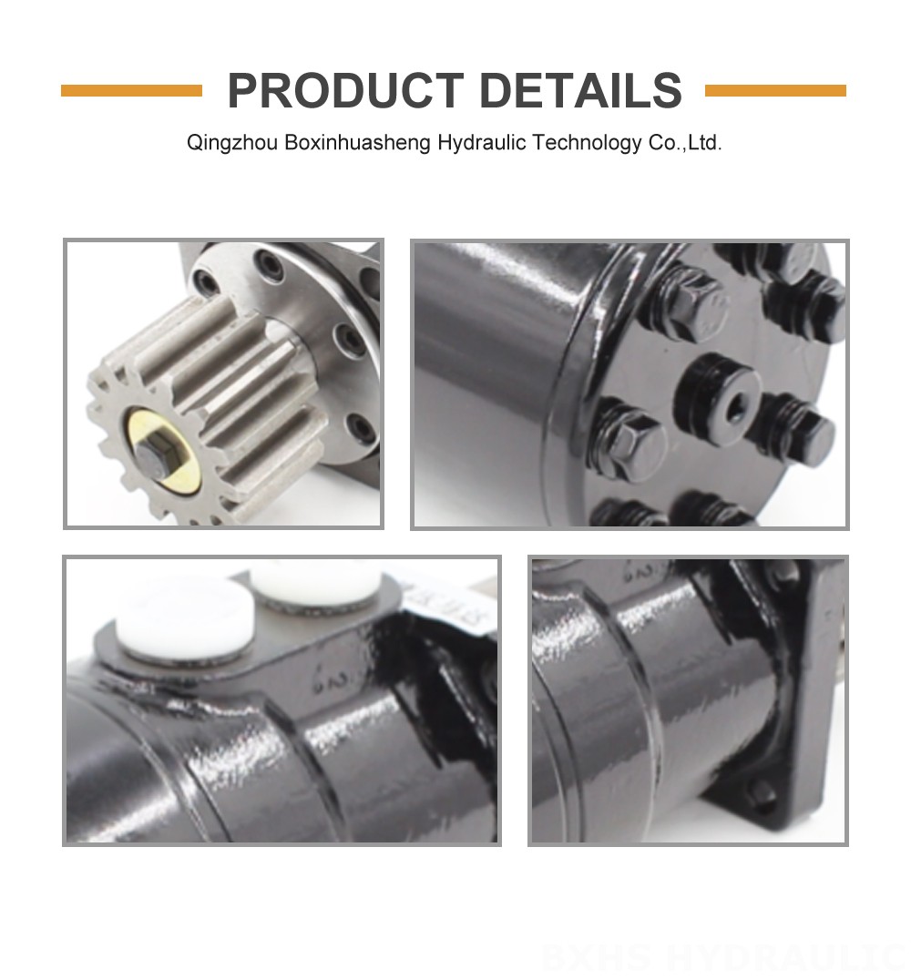 BMR_Cycloid Hydraulic Motor-2 63 cc/r 53 Lpm Hydraulic Motor detailed image